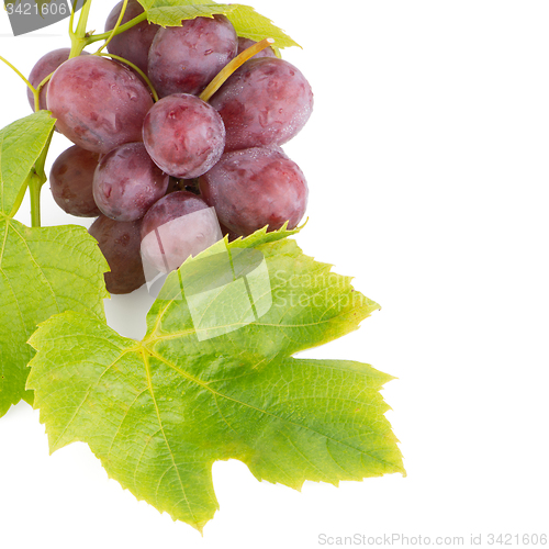 Image of Bunch of red grapes