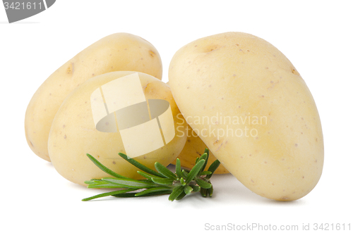 Image of New potatoes and green herbs