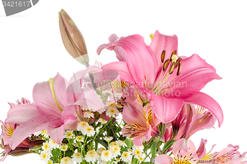 Image of Pink lilies