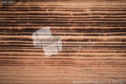 Image of  Burned pine wood background