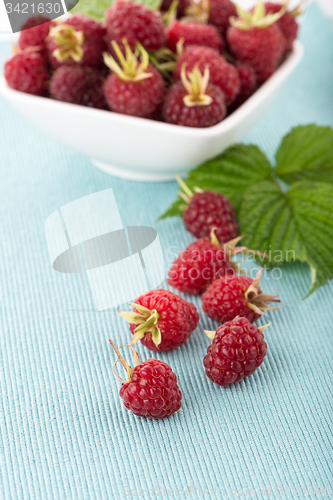 Image of Fresh raspberry