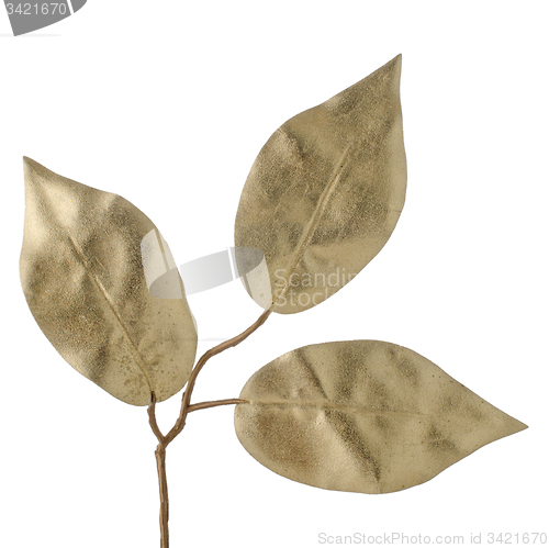 Image of Christmas decorative golden leaves
