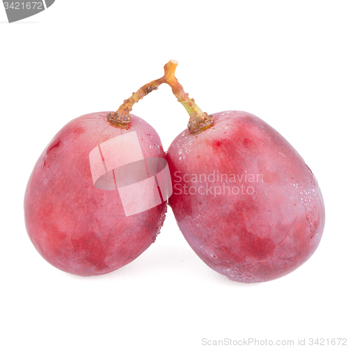 Image of Red grape