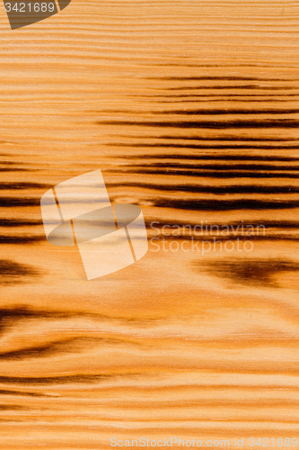 Image of  Burned pine wood background