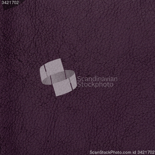 Image of Violet leather texture