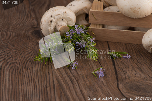 Image of Champignons in a wooden box