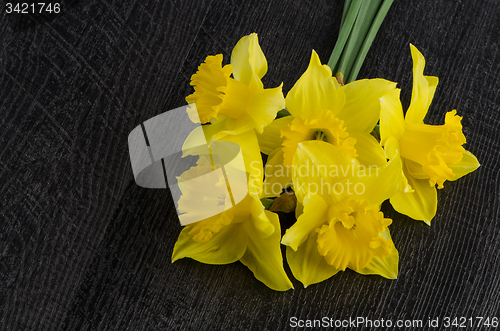 Image of Yellow jonquil flowers