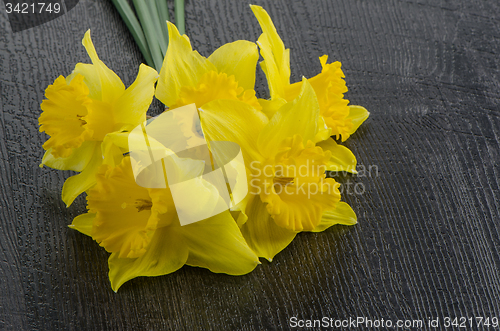 Image of Yellow jonquil flowers