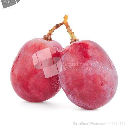 Image of Red grape