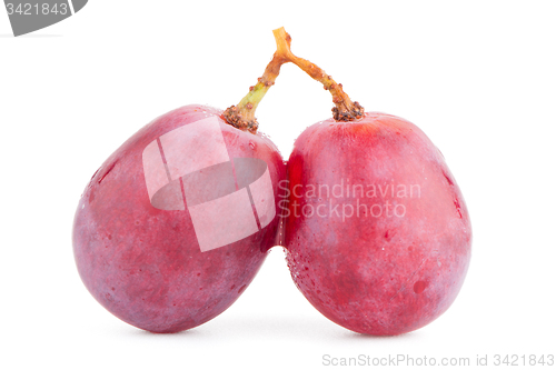 Image of Red grape