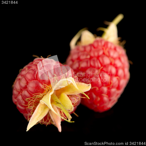 Image of Fresh raspberries