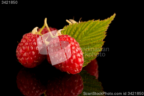 Image of Fresh raspberries