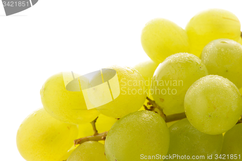 Image of Green grapes