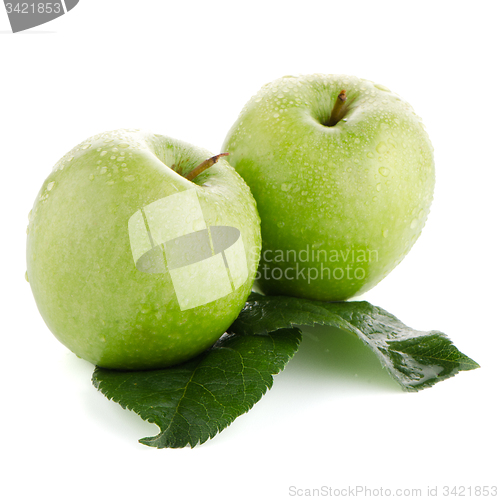 Image of Two fresh green apples