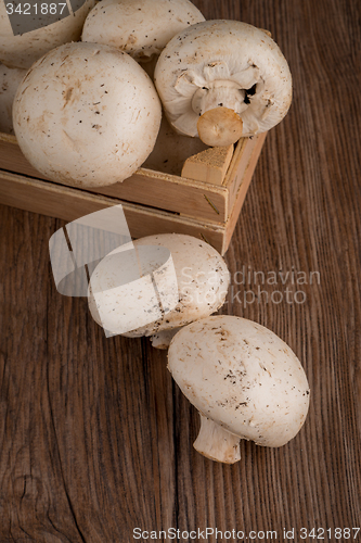 Image of Champignons in a wooden box