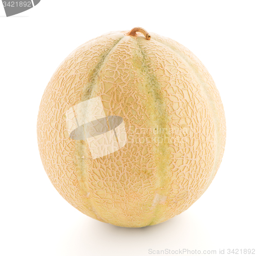 Image of Honeydew melon