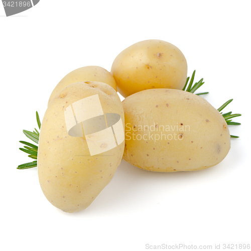 Image of New potatoes and green herbs