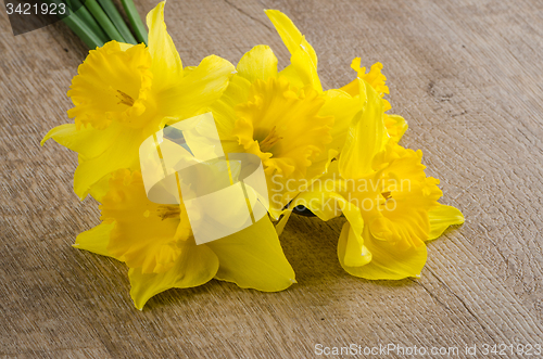 Image of Jonquil flowers