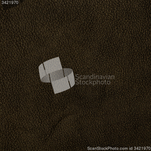 Image of Brown leather