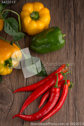 Image of Colored bell peppers