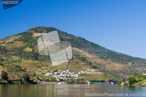 Image of Vineyars in Douro Valley