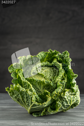 Image of Savoy cabbage