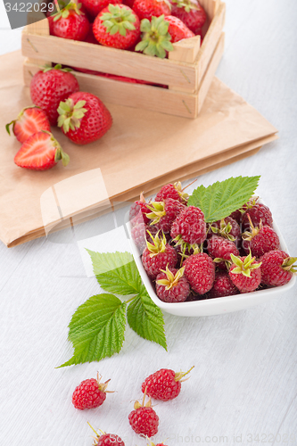 Image of Fresh raspberry