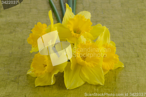 Image of Jonquil flowers