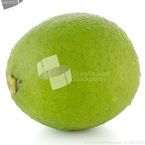 Image of Fresh green lime