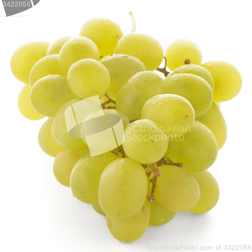 Image of Green grapes