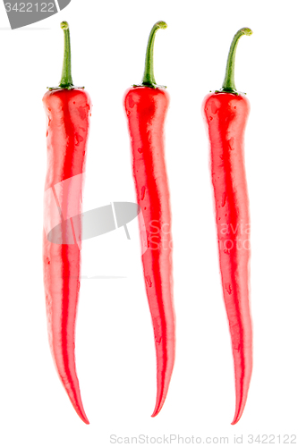 Image of Red chilli peppers