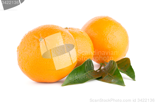 Image of Ripe tangerine or mandarin