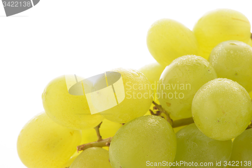 Image of Green grapes