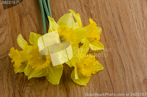 Image of Jonquil flowers