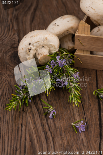 Image of Champignons in a wooden box