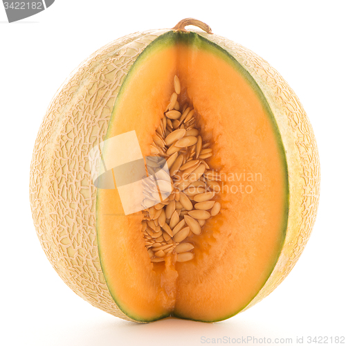 Image of Honeydew melon