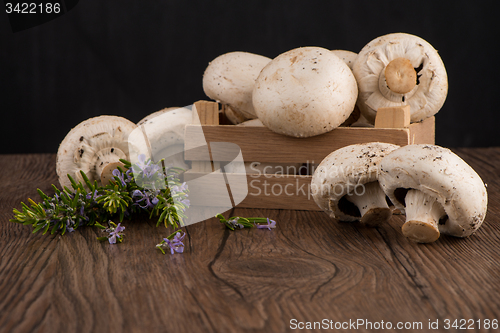 Image of Champignons in a wooden box