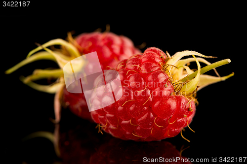 Image of Fresh raspberries