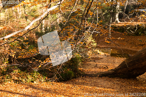 Image of Geres National Park