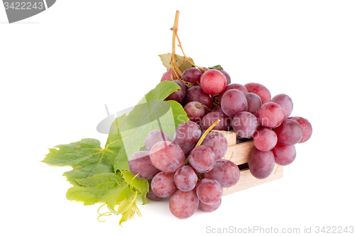 Image of Bunch of red grapes