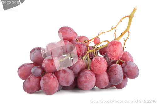 Image of Bunch of red grapes