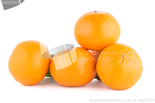 Image of Ripe tangerine or mandarin