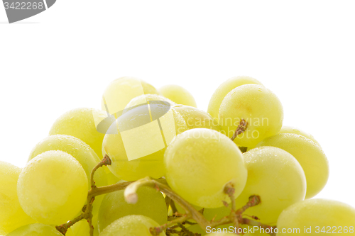 Image of Green grapes