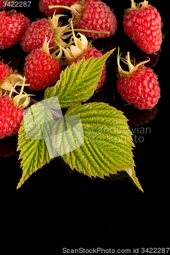 Image of Fresh raspberries