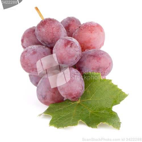 Image of Bunch of red grapes