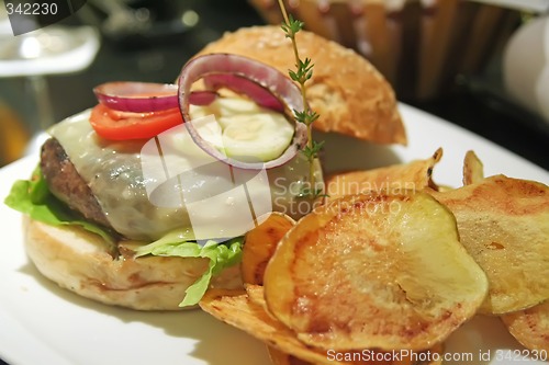 Image of Gourmet hamburger