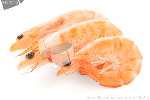 Image of Three shrimps 