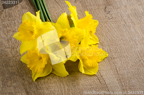 Image of Jonquil flowers