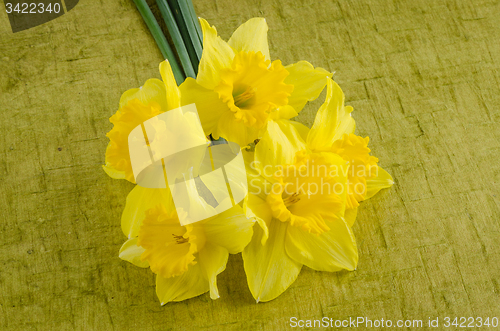 Image of Jonquil flowers