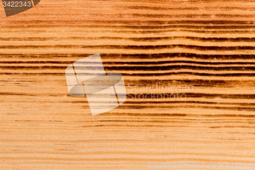 Image of  Burned pine wood background